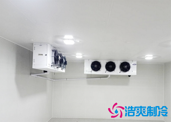 水果批发市场建造水果保鲜榴莲网站官网报价大概需要多少钱？-榴莲视频在线观看下载制冷