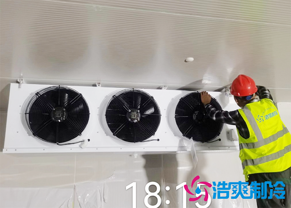 水果批发市场建造水果保鲜榴莲网站官网报价大概需要多少钱？-榴莲视频在线观看下载制冷