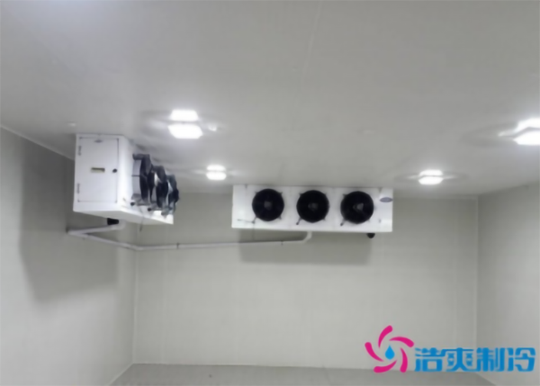 蔬菜种植基地建造600立方米保鲜榴莲网站官网大概需要多少钱?-榴莲视频在线观看下载制冷 蔬菜种植基地建造600立方米保鲜榴莲网站官网大概需要多少钱?-榴莲视频在线观看下载制冷