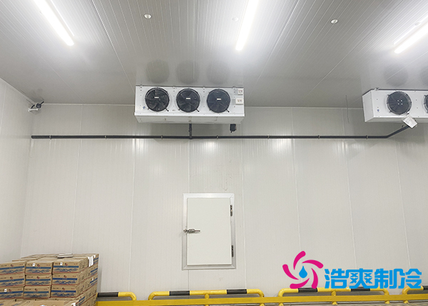 大型农产品物流园榴莲网站官网建设多少钱一平方合适？-榴莲视频在线观看下载制冷