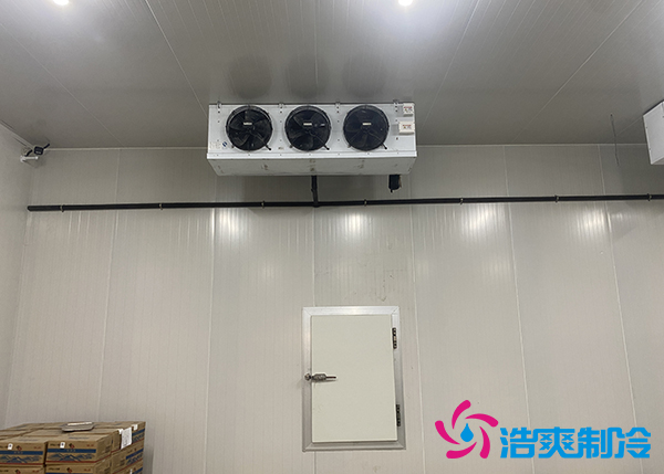 大型农产品物流园榴莲网站官网建设多少钱一平方合适？-榴莲视频在线观看下载制冷