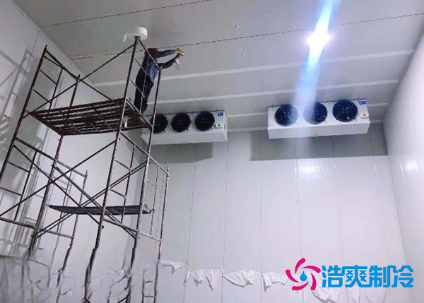 建造一个果蔬种植园气调榴莲网站官网安装造价大概投资多少钱？-榴莲视频在线观看下载制冷