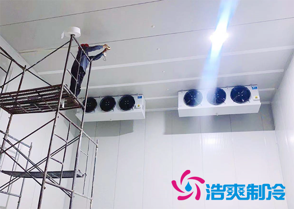果蔬原产地建造500吨气调榴莲网站官网造价成本多少钱？-榴莲视频在线观看下载制冷