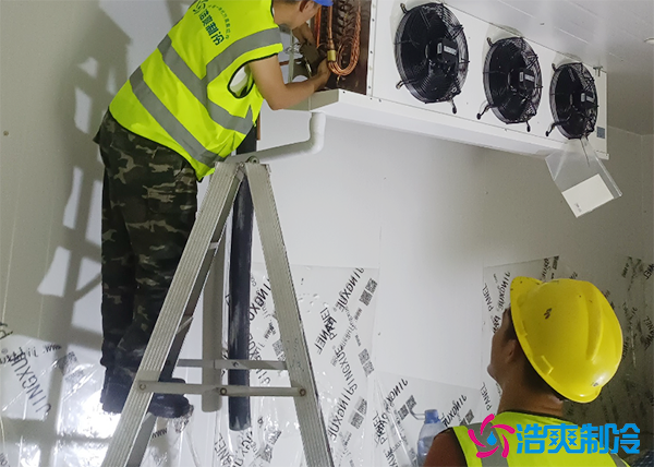 安装大型冷链物流园榴莲网站官网造价大概多少钱？-榴莲视频在线观看下载制冷