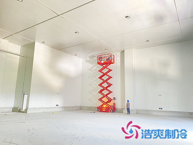 500平方米果蔬保鲜冷藏榴莲网站官网建造方案及价格清单-榴莲视频在线观看下载制冷