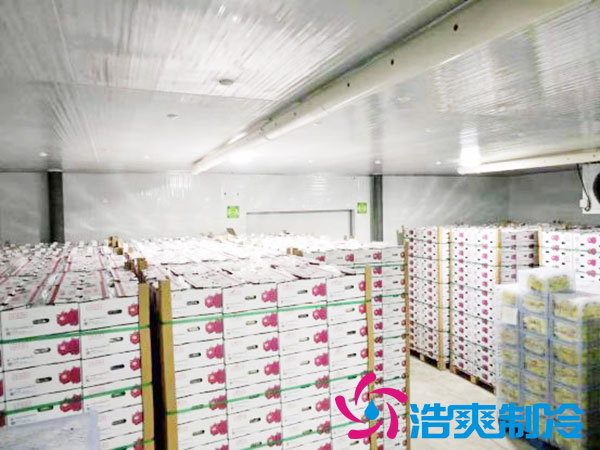 建一个5—10平方的小型榴莲网站官网的价钱是多少？-榴莲视频在线观看下载制冷