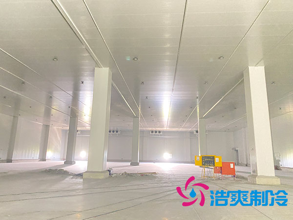 建一个150立方米的榴莲网站官网需多少钱？