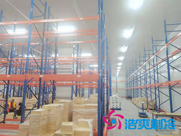 如何选择专业的生鲜冷冻物流榴莲网站官网公司？-榴莲视频在线观看下载制冷