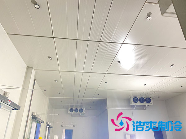 大型榴莲网站官网建设多少钱一平方？