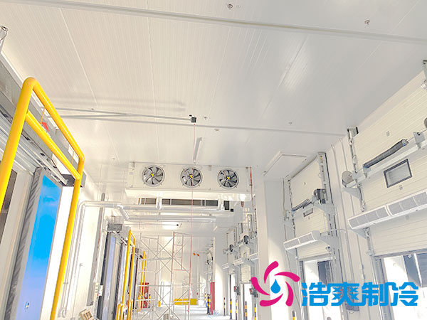 建造一个低温榴莲网站官网造价多少钱一平方？-榴莲视频在线观看下载制冷