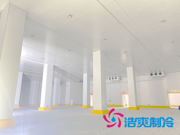 1000立方榴莲网站官网的建设费用大概需要多少钱？-榴莲视频在线观看下载制冷