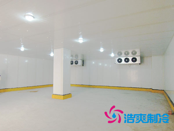 新疆酒店双温榴莲网站官网建设需求-榴莲视频在线观看下载制冷