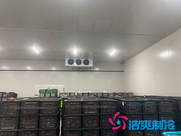 嘉定鸡蛋榴莲网站官网安装建造多少钱？-榴莲视频在线观看下载制冷