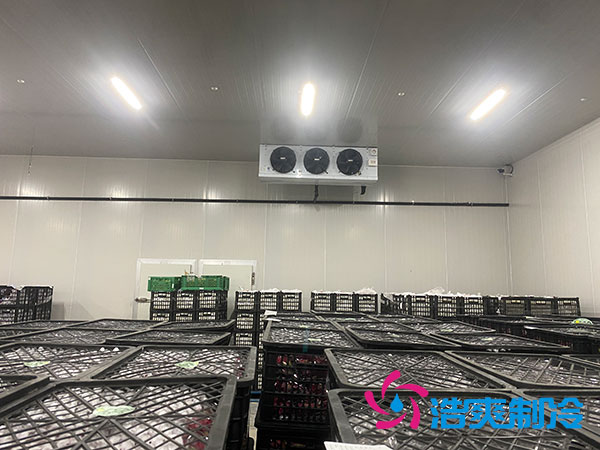 嘉定鸡蛋榴莲网站官网安装建造多少钱？-榴莲视频在线观看下载制冷