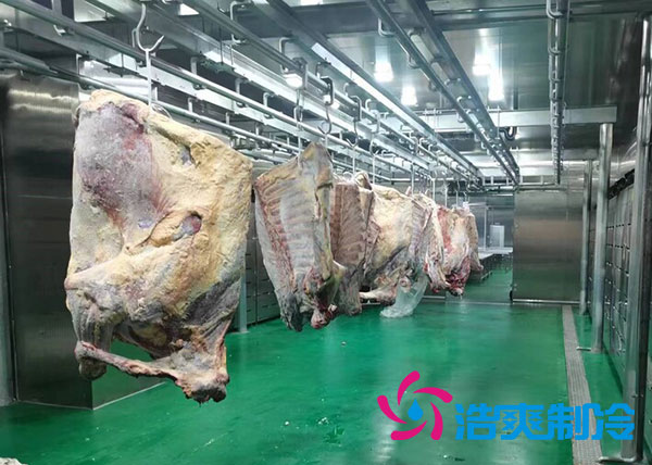 咸阳屠宰场陕西榴莲网站官网建造价格多少钱？-榴莲视频在线观看下载制冷