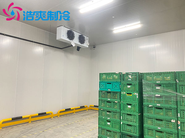 宁波1000平米冷藏库建造大概多少钱？-榴莲视频在线观看下载制冷