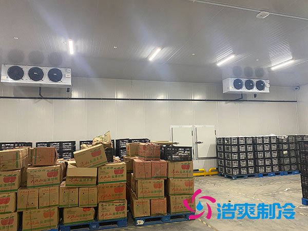 双温榴莲网站官网 双温榴莲网站官网