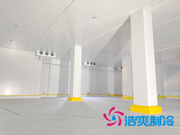 太仓榴莲网站官网安装
