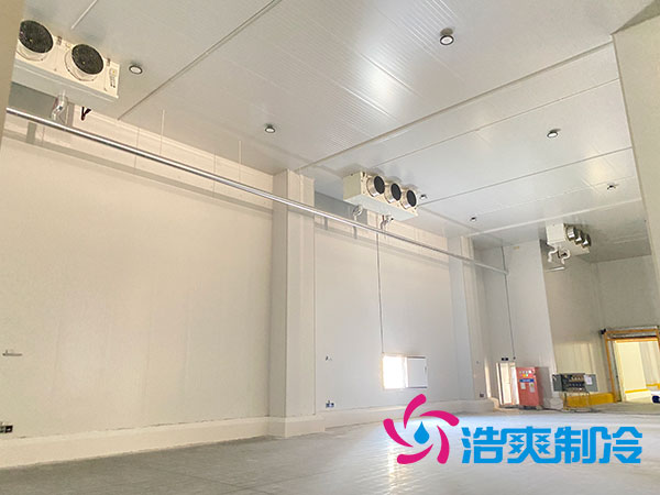 中型榴莲网站官网安装造价
