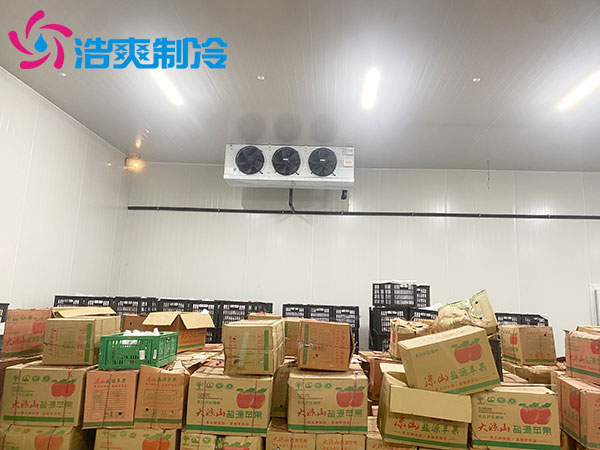 保鲜榴莲网站官网建造 保鲜榴莲网站官网建造