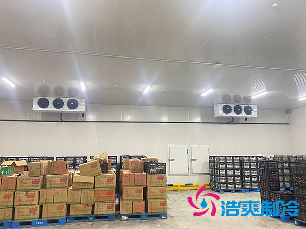 保鲜榴莲网站官网安装 保鲜榴莲网站官网安装