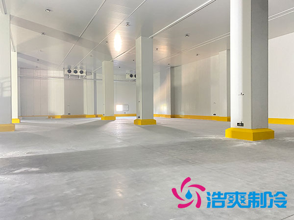 吴江榴莲网站官网安装价格
