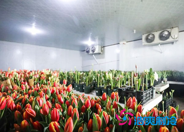 花卉榴莲网站官网安装预算造价多少钱？-榴莲视频在线观看下载制冷