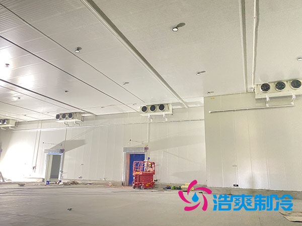 南京果蔬保鲜榴莲网站官网安装造价多少钱一平方米？-榴莲视频在线观看下载制冷