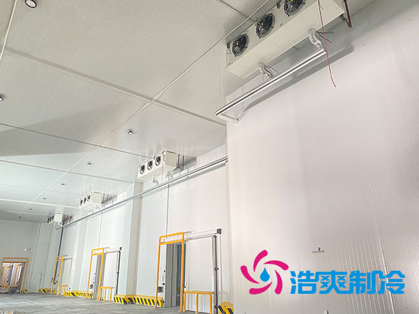 1千吨榴莲网站官网大概需要投资多少钱？1000吨榴莲网站官网造价表配置清单-榴莲视频在线观看下载制冷