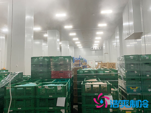 高温榴莲网站官网建设多少钱一平方?-榴莲视频在线观看下载制冷 高温榴莲网站官网建设多少钱一平方?-榴莲视频在线观看下载制冷