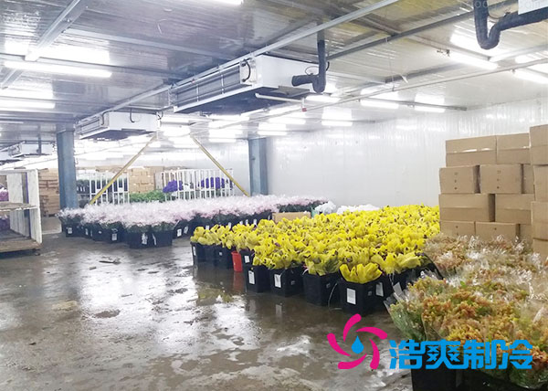 做个鲜花榴莲网站官网要多少钱？-榴莲视频在线观看下载制冷