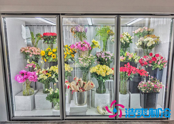 花店榴莲网站官网适合风冷还是直冷？-榴莲视频在线观看下载制冷