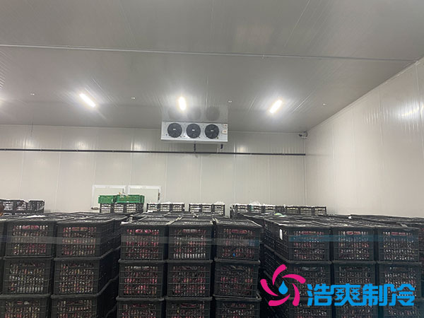 水果榴莲网站官网造价多少钱 水果榴莲网站官网造价多少钱