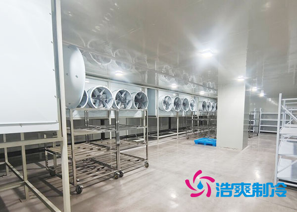 速冻隧道榴莲网站官网安装费用