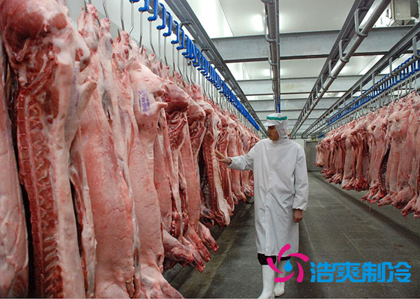 肉类速冻库建造多大合适？-榴莲视频在线观看下载制冷