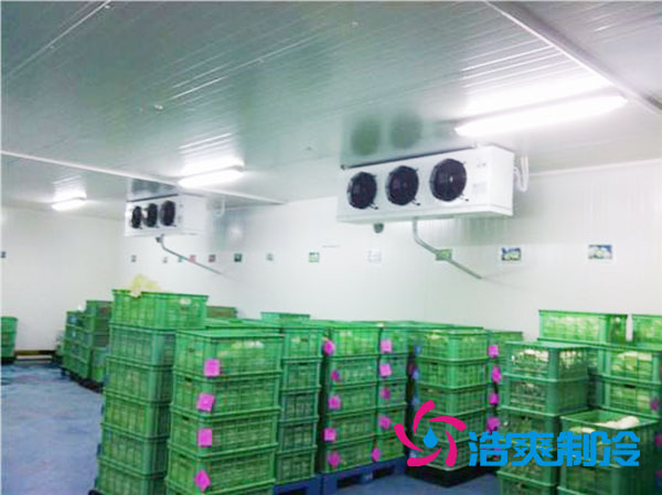 茶叶榴莲网站官网造价多少一平方米？-榴莲视频在线观看下载制冷