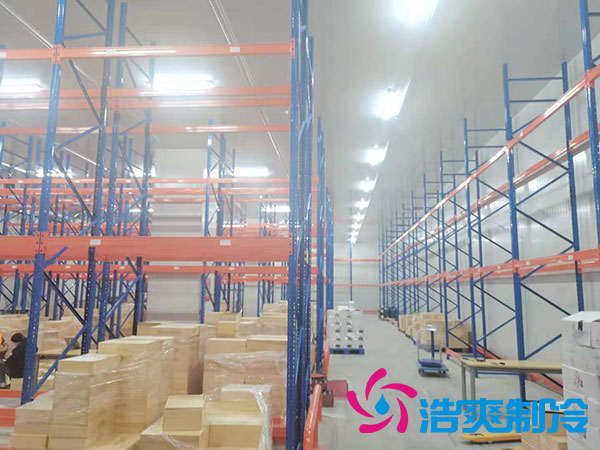 岳阳物流榴莲网站官网建设多少钱一平方？-榴莲视频在线观看下载制冷