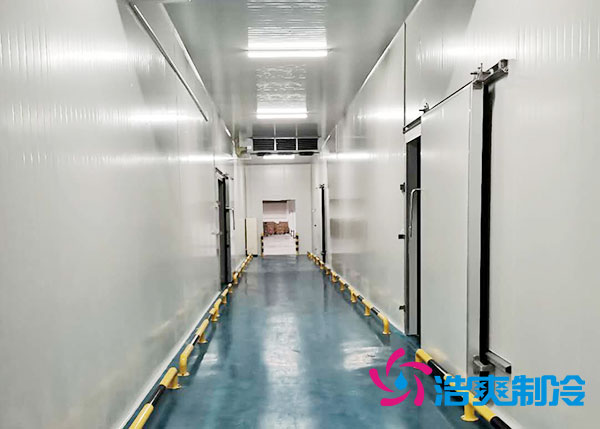 郴州速冻食品榴莲网站官网造价多少钱一平方？-榴莲视频在线观看下载制冷