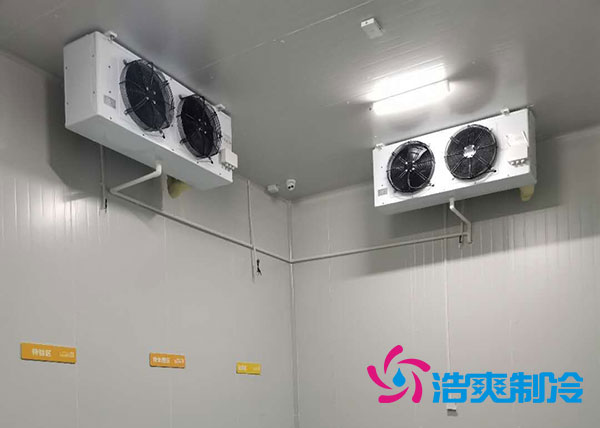 衡阳大型水果榴莲网站官网造价多少钱一平方？-榴莲视频在线观看下载制冷