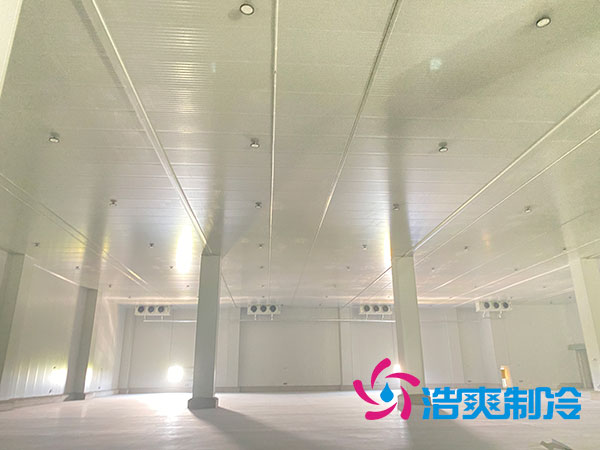 江西低温食品榴莲网站官网建造公司-榴莲视频在线观看下载制冷