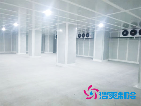 气调库与保鲜库有区别吗？-榴莲视频在线观看下载制冷