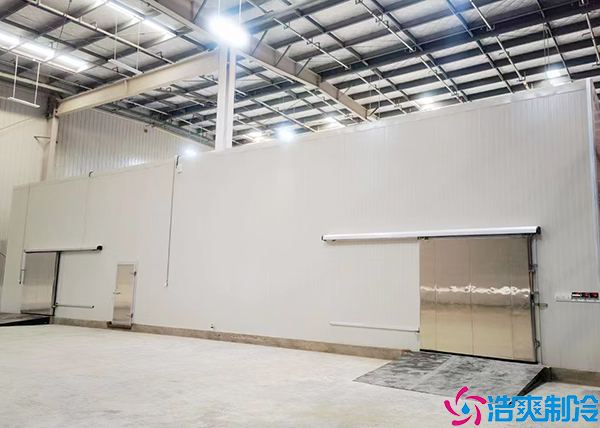 榴莲网站官网建设