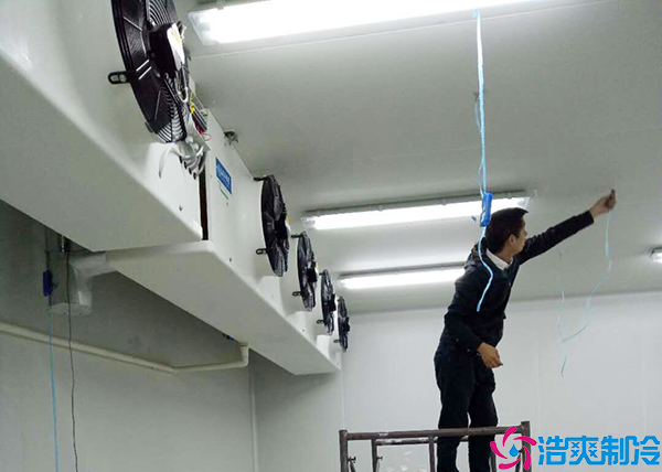 保鲜榴莲网站官网