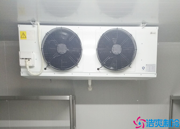 樱桃榴莲网站官网