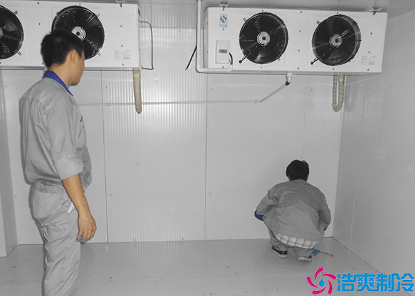 速冻榴莲网站官网