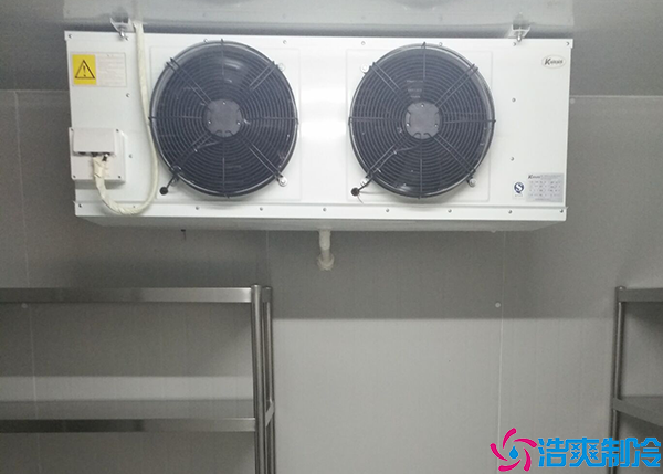 排酸榴莲网站官网