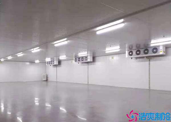 三甲榴莲网站官网