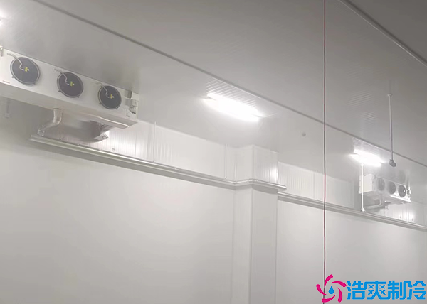 移动榴莲网站官网