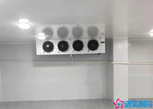 大型榴莲网站官网