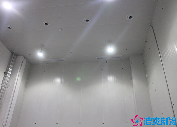 蔬菜保鲜榴莲网站官网